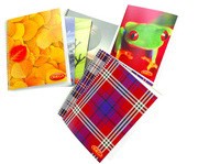 CUADERNOS OMEGA ENGRAPADOS 96 HOJAS